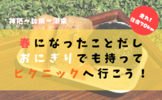 onigiri-15