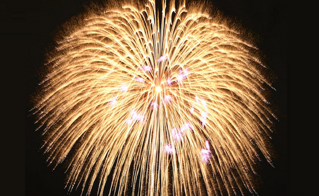 ☆711☆ 夏くじら 花火 ☆711☆ 夏くじら 花火