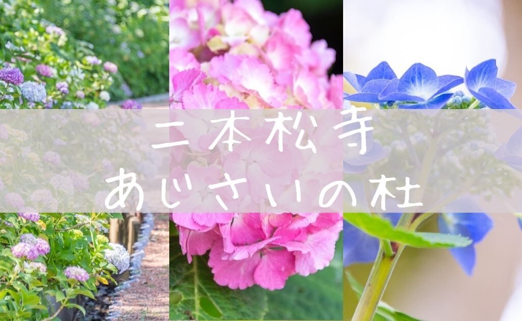 Sariko   紫陽花の杜  (ピアス/イヤリング)