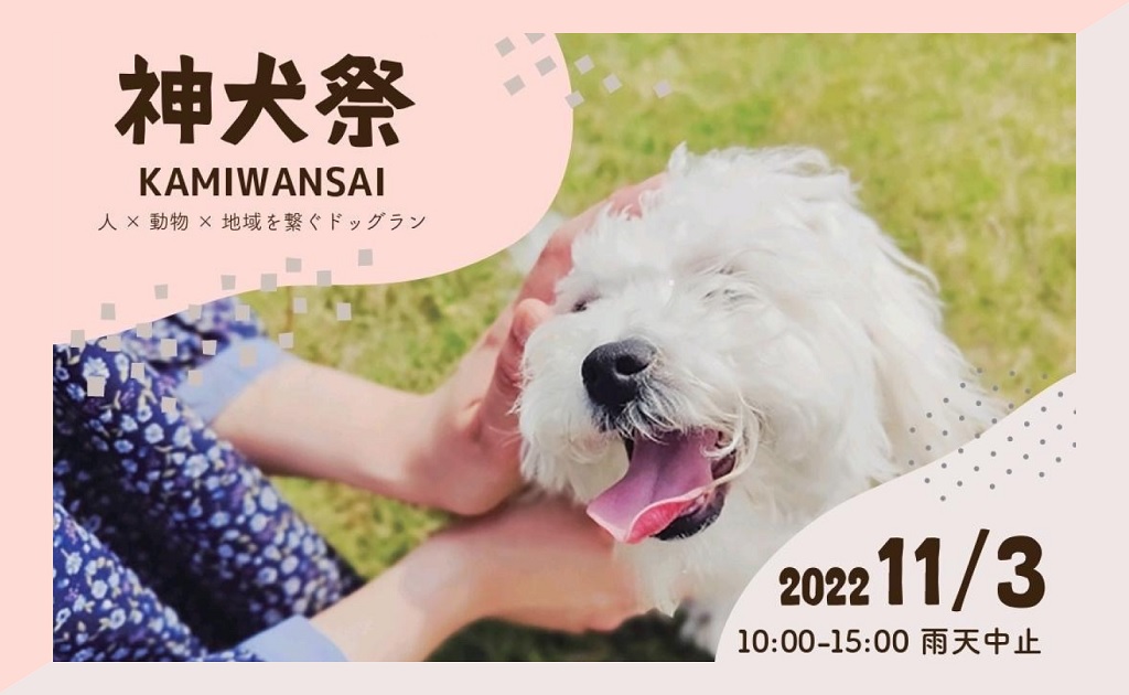 いぬ NEW FACE📸✨ 🐾：カニヘンダックスフンド×チワワ 🌈：イザベラ