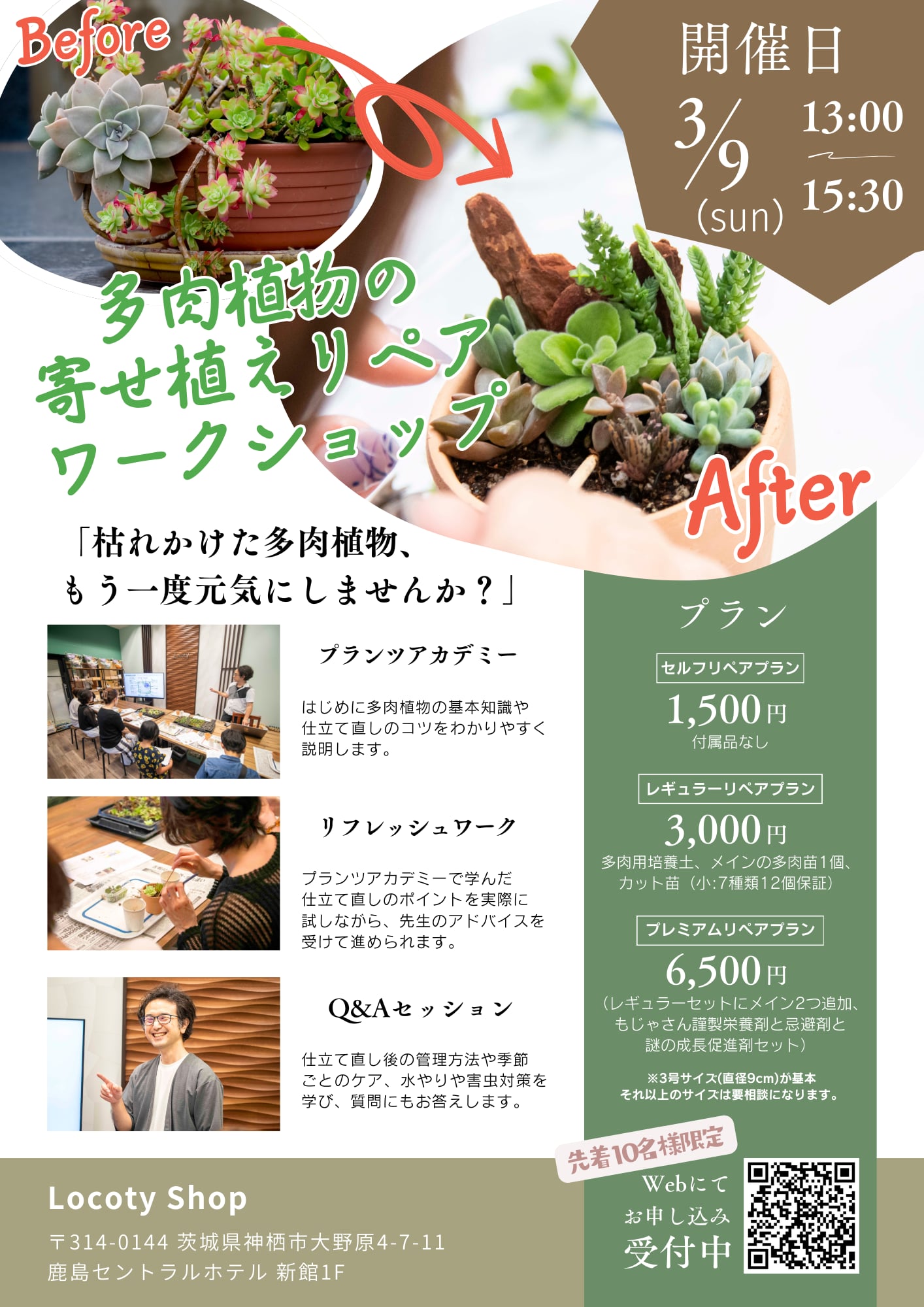 多肉植物ワークショップ