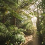 植物園