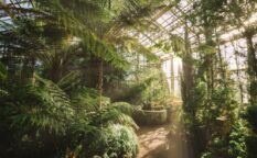 植物園