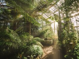 植物園
