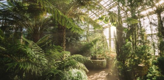 植物園