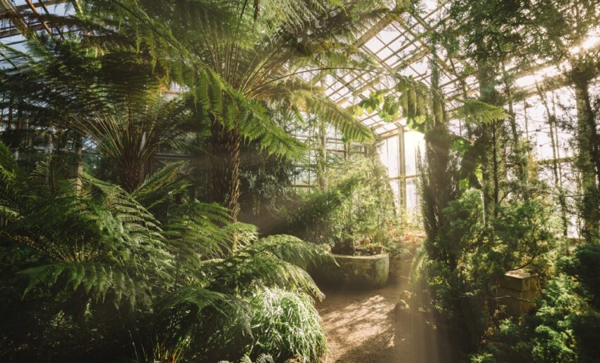 植物園