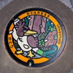 香取市のポケふた④