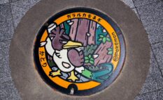 香取市のポケふた④