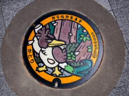 香取市のポケふた④