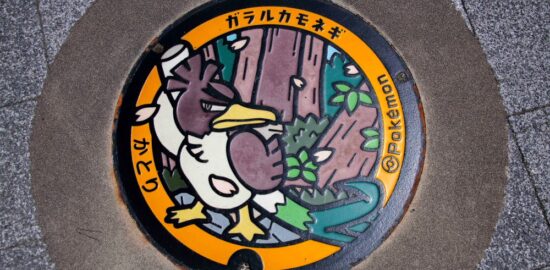 香取市のポケふた④