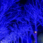 イルミネーション