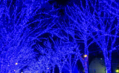 イルミネーション