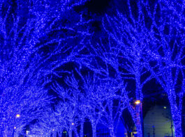 イルミネーション