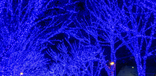 イルミネーション