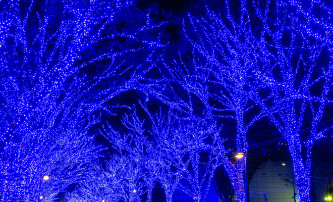 イルミネーション